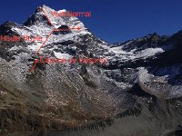 IMG 3861 annotated  annotations